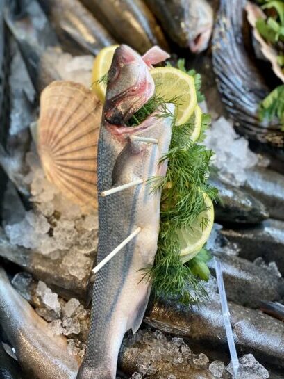 Seabass